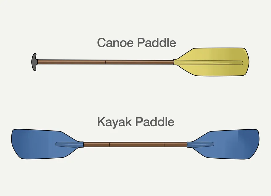 Kayak və Kanoe Arasındakı Fərqi Necə Anlamaq olar