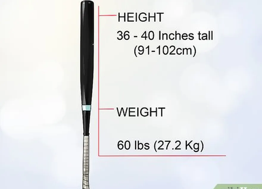 addım 3 qıza əsaslanan yarasa uzunluğundan aşağıya endirin's height and weight.