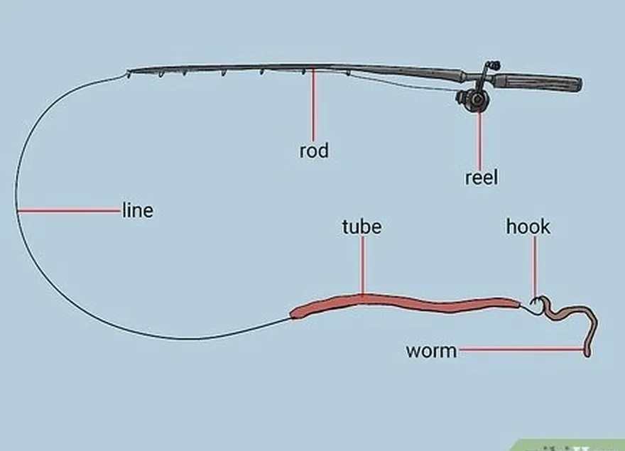 addım 2 tube ucu's hook with a live sandworm or herring strip.