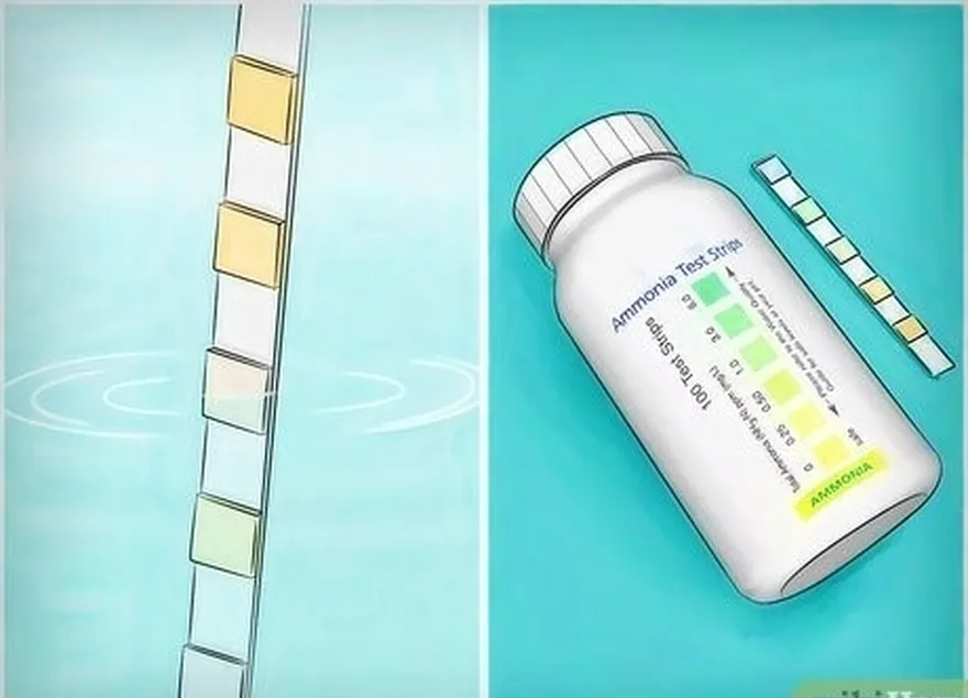 addım 5, toksin səviyyələrini izləmək üçün test dəstlərindən istifadə edin.