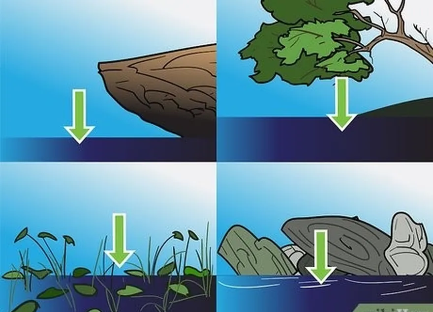 addım 5 doğrudanmı sürün  rod= and= hook= into= a= promising= location.=