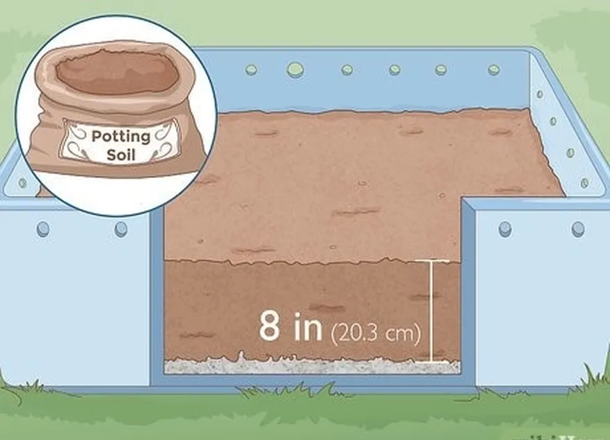 addım 5 yataq materialınızı 3-8 düym (7.6-20.3 sm) olan potting torpaqları ilə örtün.