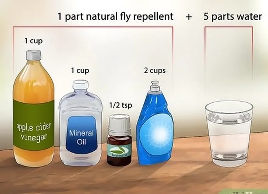 addım 2 sirkə, mineral yağı və ətirli efir yağlarından uçmaq üçün bir milçək hazırlayın.