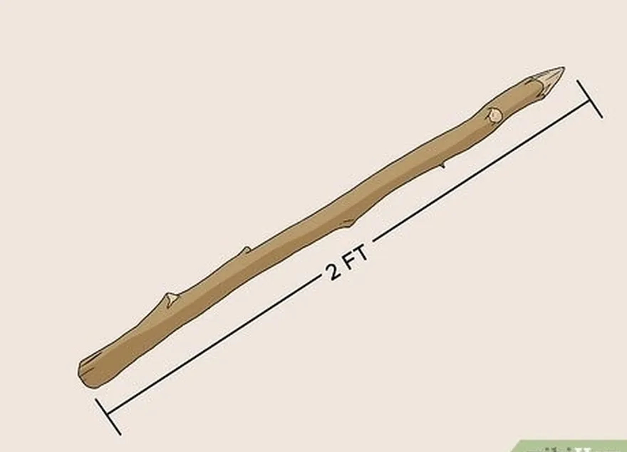 addım 6 2 fut (0.61 m) əsas çubuğun sonunu kəskinləşdirin.