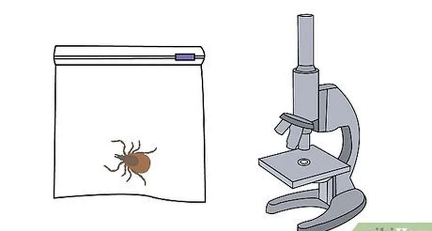 addım 2 test üçün gənə qənaət etməyi düşünün.