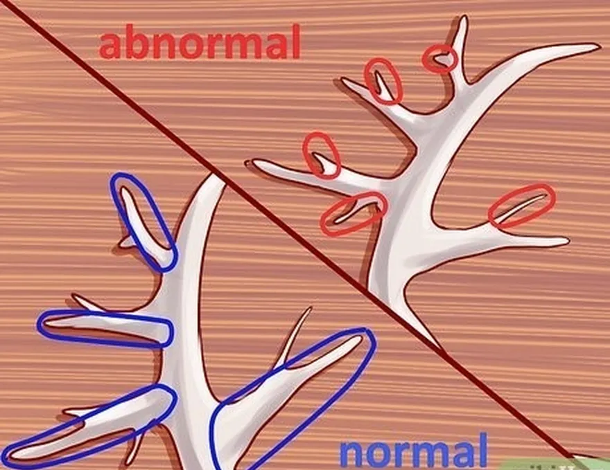 addım 1 normal nöqtələri anormal nöqtələrdən ayırın.