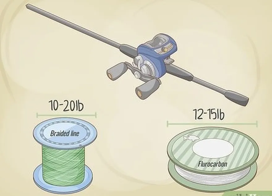 addım 4, bir baitcasting çarxı və çubuğu ilə flüorokarbon və ya örgülü xətt istifadə edin.