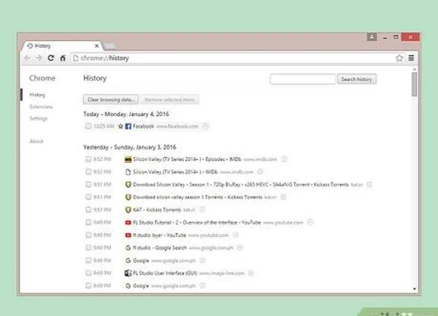 addım 1 brauzer tarixinizi yoxlayın.